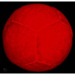 Light up 12 panel pro footbag