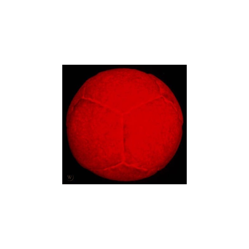 LighUp 12 panel Juggling Ball LighUp 12 panel Juggling Ball