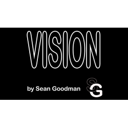 Vision (Standard Business...
