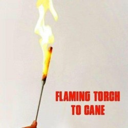 Torch for torch to cane...