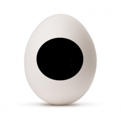 Plastic Egg - Oeuf en...