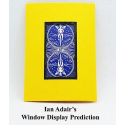 Window Display Prediction...