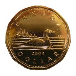 Split Coin Loonie
